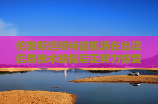 倫敦斯坦斯特德機(jī)場(chǎng)在出現(xiàn)信息技術(shù)故障后正努力恢復(fù)運(yùn)營(yíng)