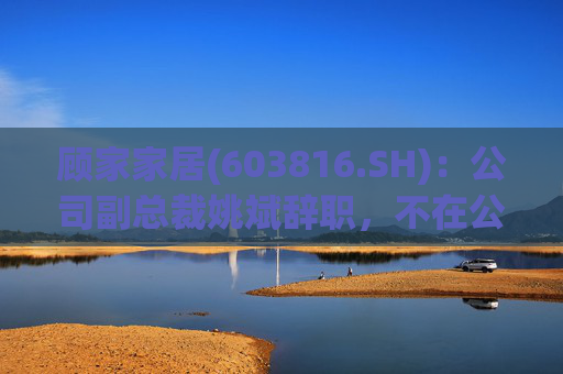 顧家家居(603816.SH)：公司副總裁姚斌辭職，不在公司擔(dān)任其他任何職務(wù)