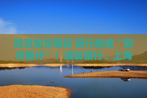 險(xiǎn)資加倉爆買 銀行股成“股市靚仔”！浦發(fā)銀行、上海銀行等股價(jià)飆到歷史新高