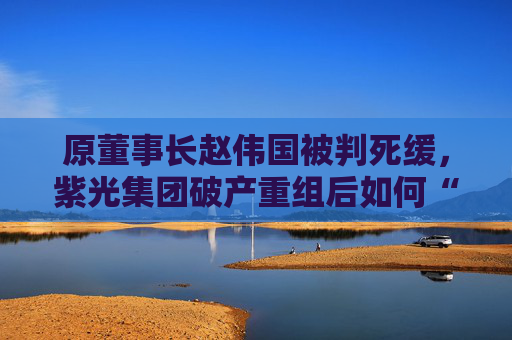 原董事長(zhǎng)趙偉國(guó)被判死緩，紫光集團(tuán)破產(chǎn)重組后如何“求生”？