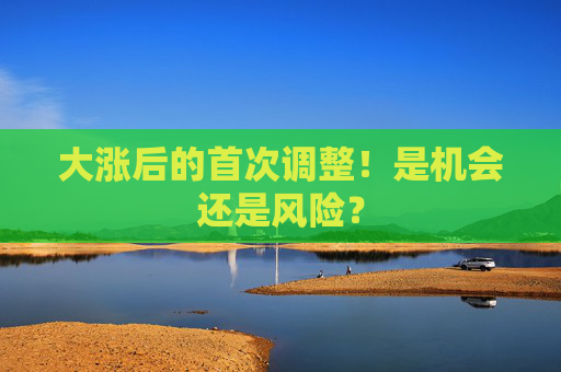 大漲后的首次調(diào)整！是機會還是風(fēng)險？