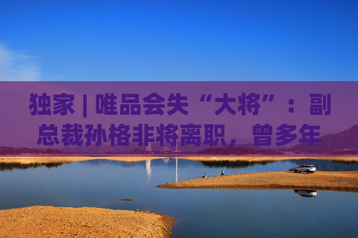 獨家 | 唯品會失“大將”：副總裁孫格非將離職，曾多年掌管商務(wù)運(yùn)營