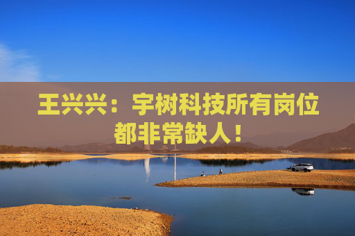 王興興：宇樹科技所有崗位都非常缺人！