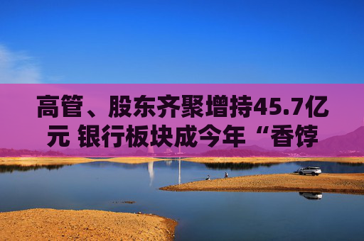 高管、股東齊聚增持45.7億元 銀行板塊成今年“香餑餑”