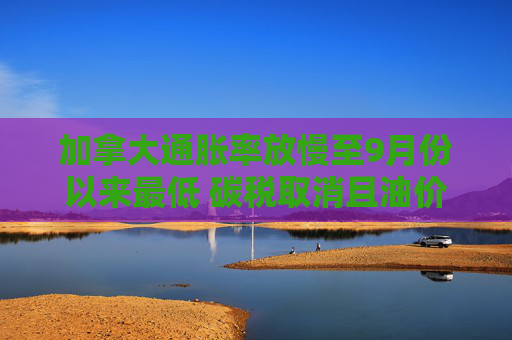 加拿大通脹率放慢至9月份以來(lái)最低 碳稅取消且油價(jià)下跌  第1張