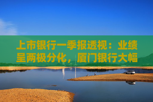 上市銀行一季報透視：業(yè)績呈兩極分化，廈門銀行大幅調(diào)降撥備仍營利兩位數(shù)下滑