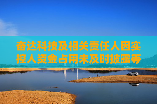 奮達(dá)科技及相關(guān)責(zé)任人因?qū)嵖厝速Y金占用未及時(shí)披露等問題被警示