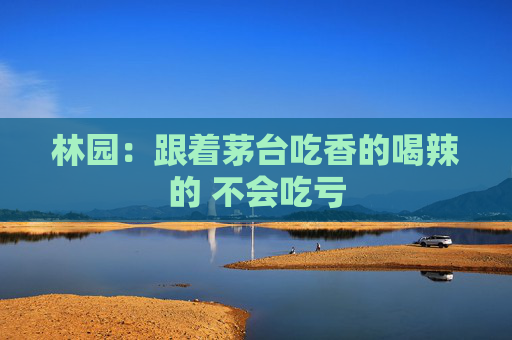 林園：跟著茅臺(tái)吃香的喝辣的 不會(huì)吃虧