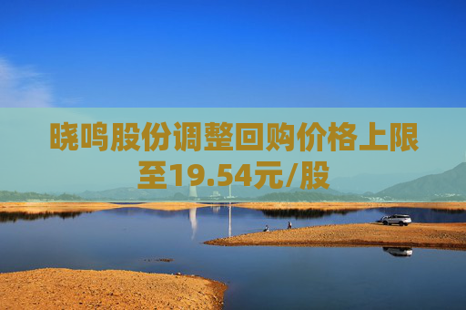 曉鳴股份調(diào)整回購價(jià)格上限至19.54元/股