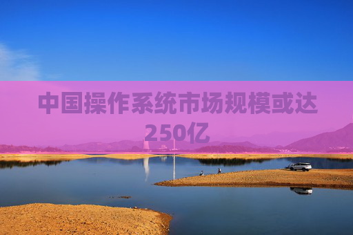 中國操作系統(tǒng)市場規(guī)模或達250億