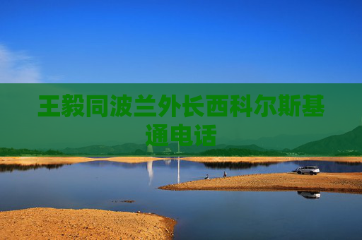 王毅同波蘭外長西科爾斯基通電話