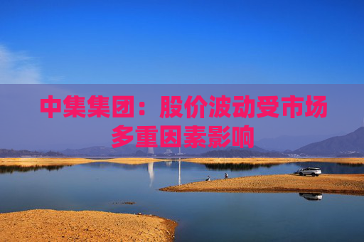 中集集團：股價波動受市場多重因素影響