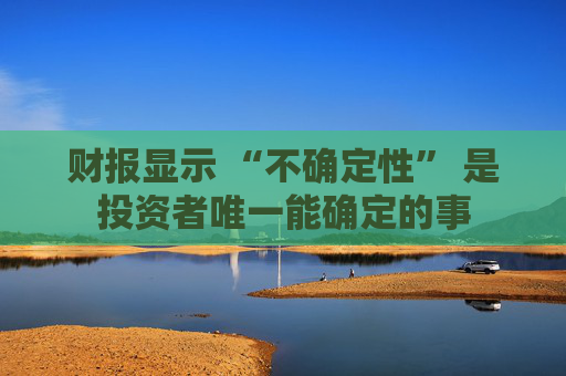 財報顯示 “不確定性” 是投資者唯一能確定的事