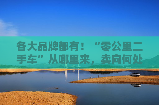 各大品牌都有！“零公里二手車”從哪里來，賣向何處，影響有多大？