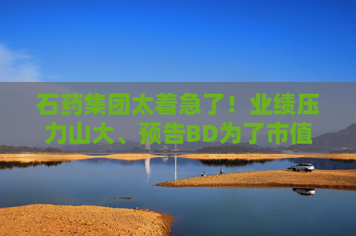 石藥集團(tuán)太著急了！業(yè)績(jī)壓力山大、預(yù)告BD為了市值管理？