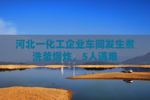 河北一化工企業(yè)車間發(fā)生煮洗釜爆炸，5人遇難