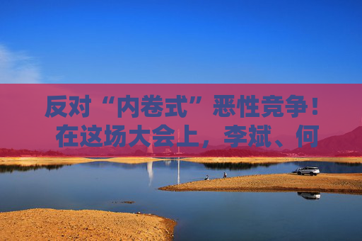 反對“內(nèi)卷式”惡性競爭！  在這場大會上，李斌、何小鵬、閤先慶等表態(tài)“價格戰(zhàn)”