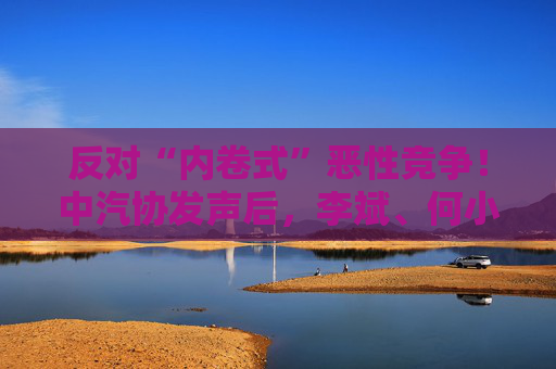 反對(duì)“內(nèi)卷式”惡性競(jìng)爭(zhēng)！中汽協(xié)發(fā)聲后，李斌、何小鵬、閤先慶等車(chē)企大佬集體表態(tài)“價(jià)格戰(zhàn)”
