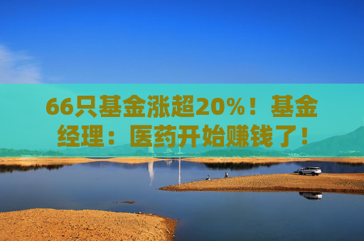 66只基金漲超20%！基金經(jīng)理：醫(yī)藥開始賺錢了！