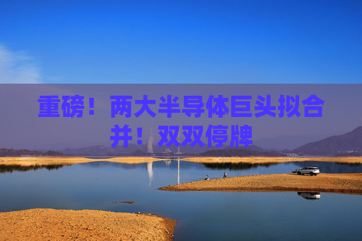 重磅！兩大半導(dǎo)體巨頭擬合并！雙雙停牌