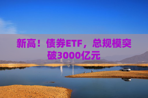 新高！債券ETF，總規(guī)模突破3000億元