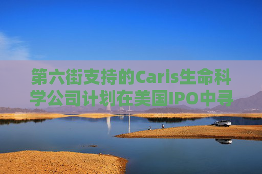 第六街支持的Caris生命科學(xué)公司計(jì)劃在美國IPO中尋求53億美元估值