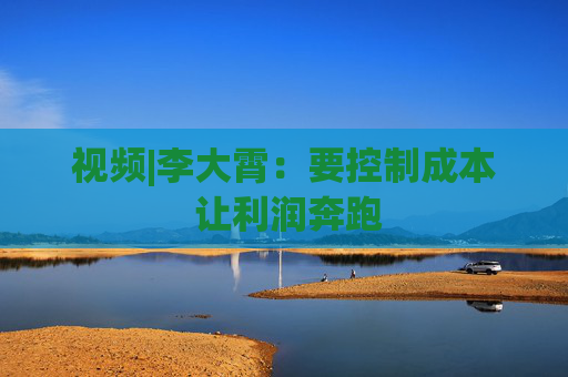 視頻|李大霄：要控制成本 讓利潤奔跑