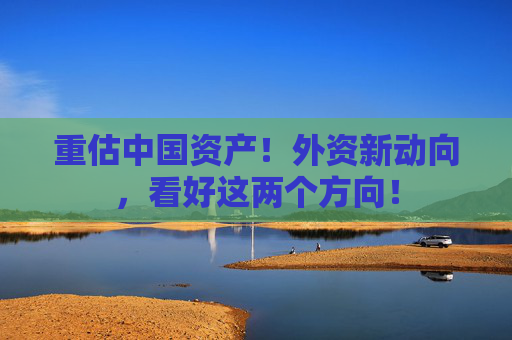 重估中國資產！外資新動向，看好這兩個方向！  第1張