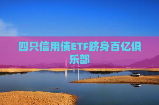 四只信用債ETF躋身百億俱樂(lè)部  第1張