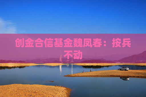 創(chuàng)金合信基金魏鳳春：按兵不動