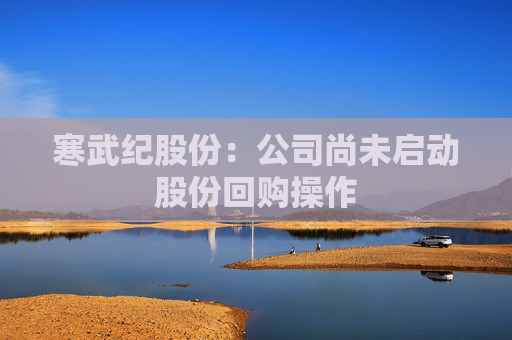 寒武紀股份：公司尚未啟動股份回購操作