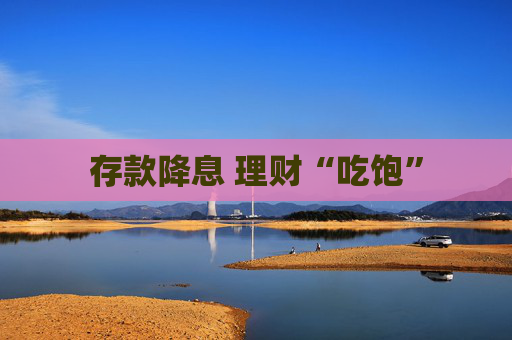 存款降息 理財“吃飽”