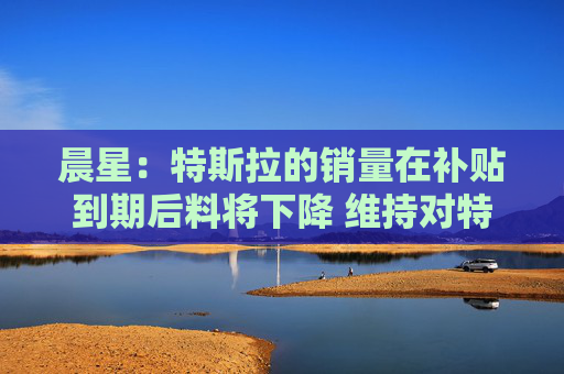 晨星：特斯拉的銷量在補貼到期后料將下降 維持對特斯拉股票250美元的公允價值估值