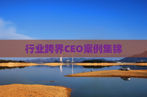 行業(yè)跨界CEO案例集錦