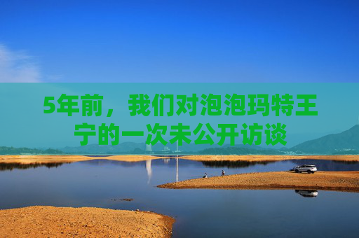 5年前，我們對(duì)泡泡瑪特王寧的一次未公開(kāi)訪談