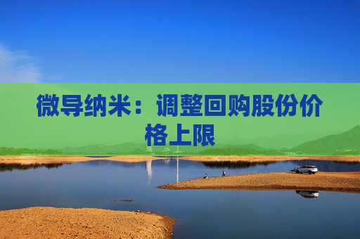 微導(dǎo)納米：調(diào)整回購股份價格上限