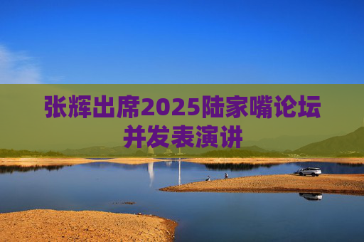 張輝出席2025陸家嘴論壇并發(fā)表演講