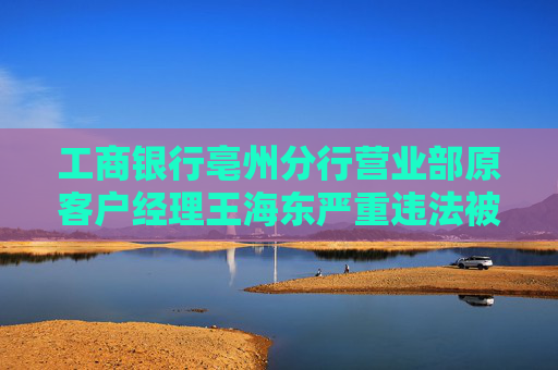 工商銀行亳州分行營業(yè)部原客戶經(jīng)理王海東嚴(yán)重違法被開除公職