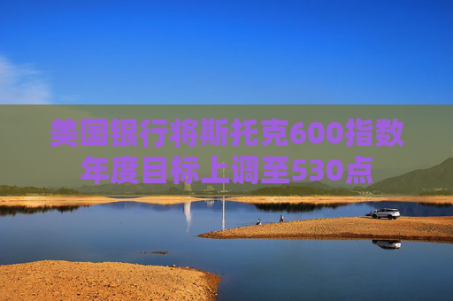 美國銀行將斯托克600指數(shù)年度目標(biāo)上調(diào)至530點(diǎn)