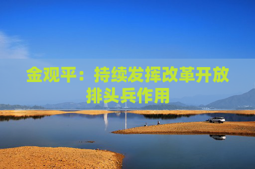 金觀平：持續(xù)發(fā)揮改革開放排頭兵作用