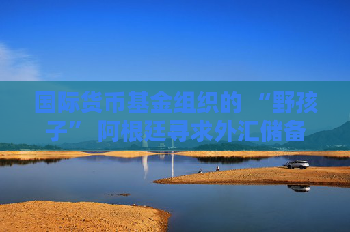 國際貨幣基金組織的 “野孩子” 阿根廷尋求外匯儲備目標(biāo)豁免