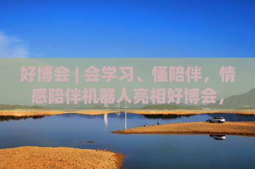 好博會 | 會學習、懂陪伴，情感陪伴機器人亮相好博會，大模型加持越用越懂你！