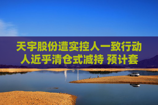 天宇股份遭實控人一致行動人近乎清倉式減持 預(yù)計套現(xiàn)金額超2億元