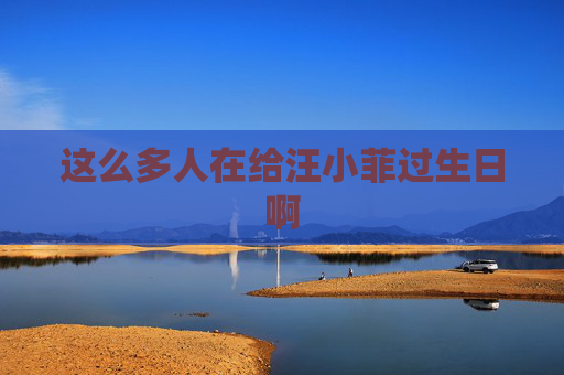 這么多人在給汪小菲過生日啊