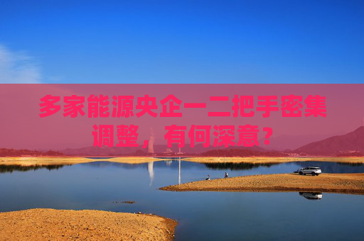 多家能源央企一二把手密集調(diào)整，有何深意？