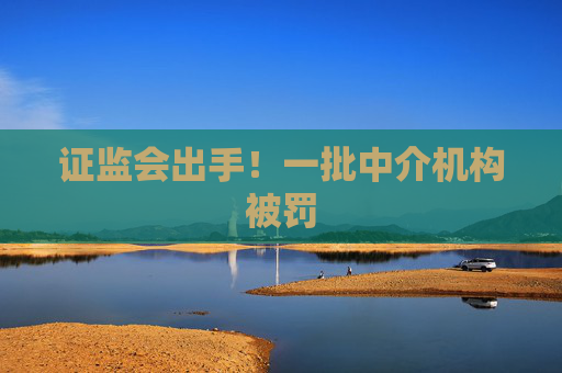證監(jiān)會(huì)出手！一批中介機(jī)構(gòu)被罰