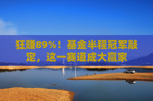 狂賺89%！基金半程冠軍敲定，這一賽道成大贏家
