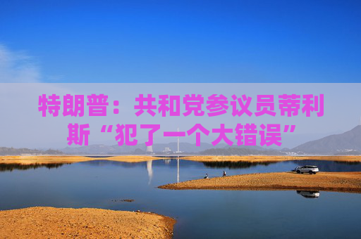 特朗普：共和黨參議員蒂利斯“犯了一個大錯誤”