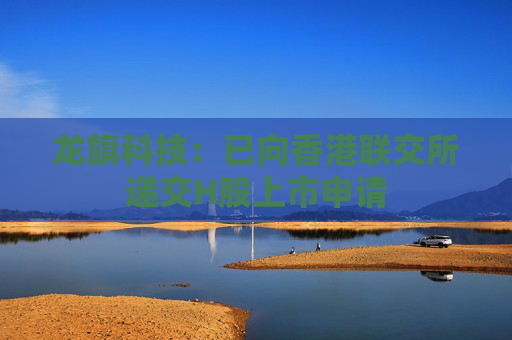 龍旗科技：已向香港聯(lián)交所遞交H股上市申請