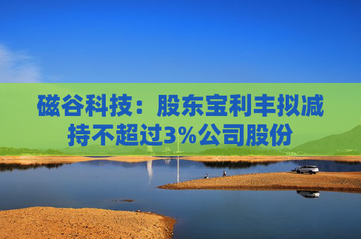 磁谷科技：股東寶利豐擬減持不超過3%公司股份